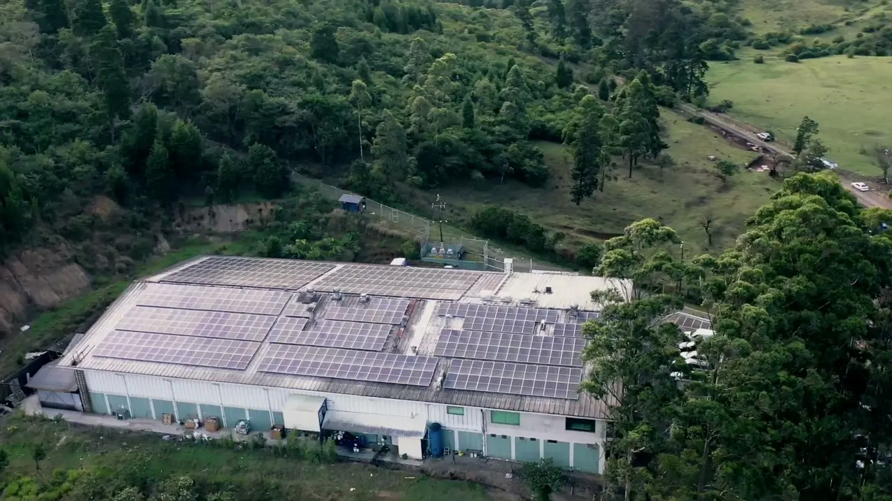 Planta de Flexográfica rodeada de árboles, con módulos solares en el techo, vista desde el aire
