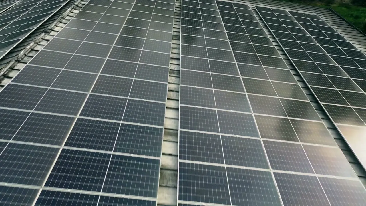 Detalle de los módulos solares sobre el techo de Flexográfica