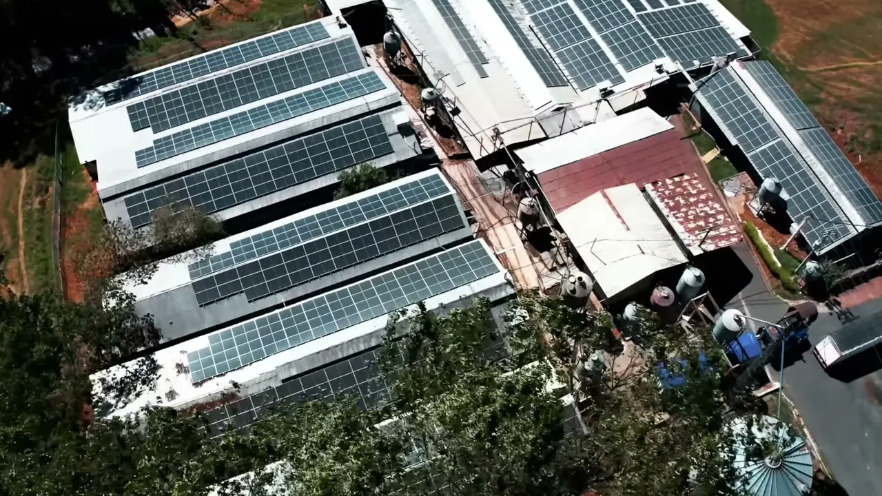 Naves de PROCESA con módulos solares, vistas desde arriba