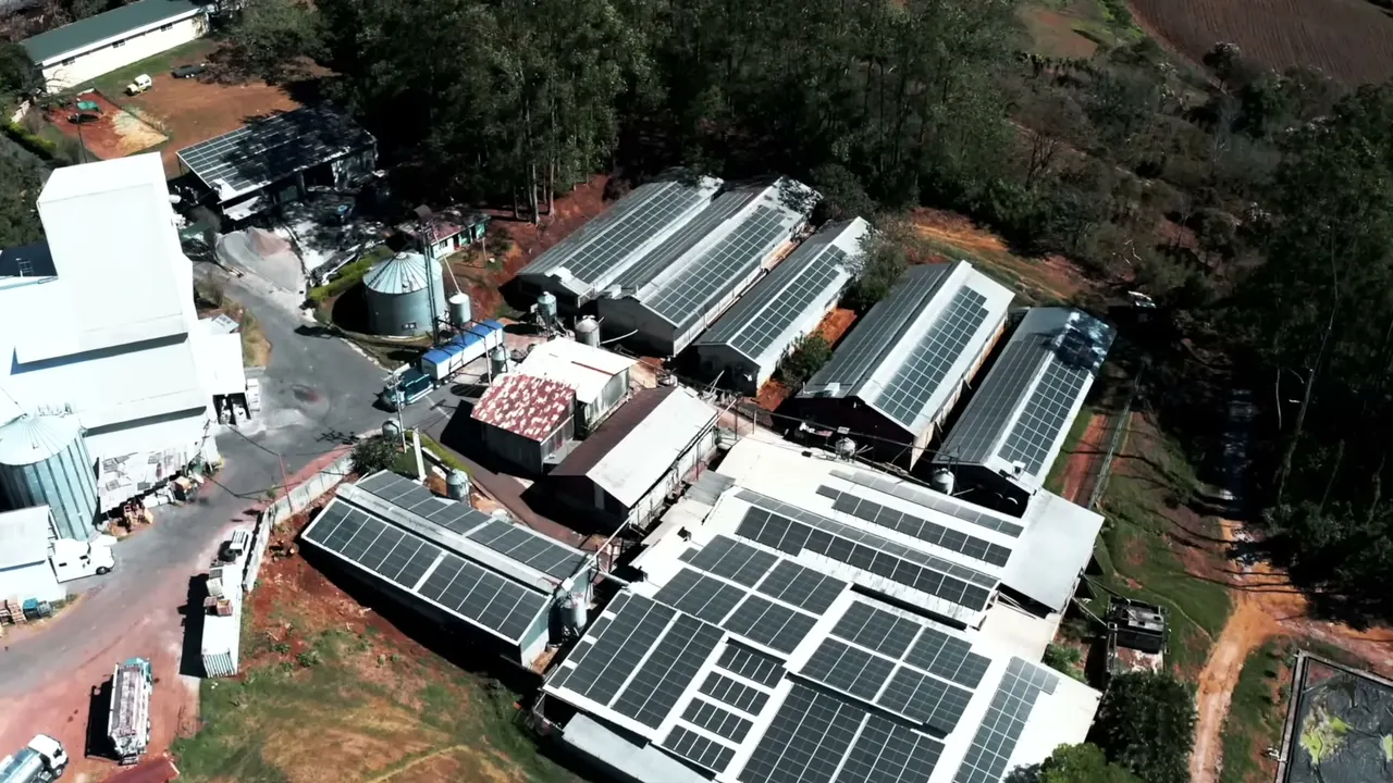 Naves de PROCESA con módulos solares, vistas desde arriba