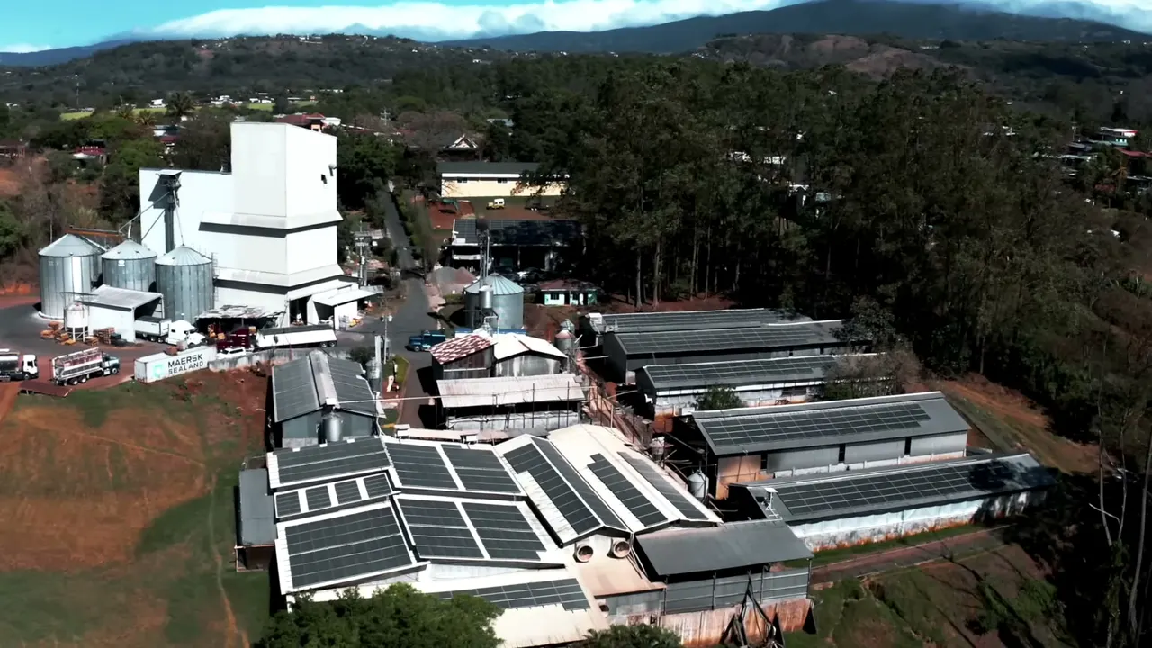 La planta de PROCESA con sus silos y naves con módulos solares, vista desde el aire
